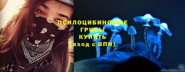 дурь Арсеньев
