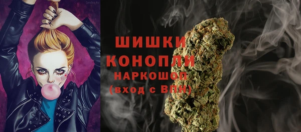 дурь Арсеньев