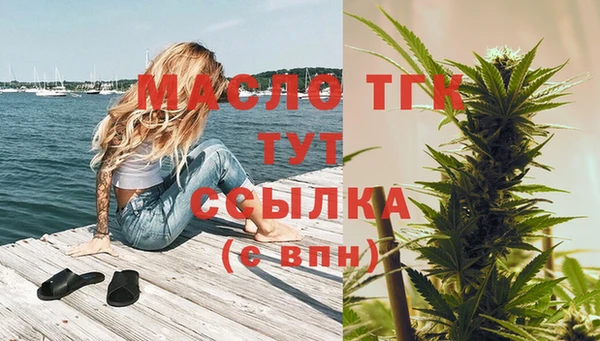 стафф Снежногорск