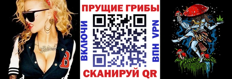 Галлюциногенные грибы GOLDEN TEACHER  кракен рабочий сайт  Суоярви 